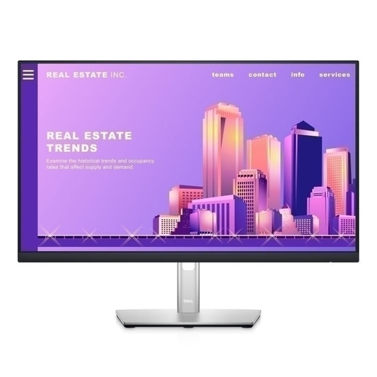 Dell 24' Monitor P2422H